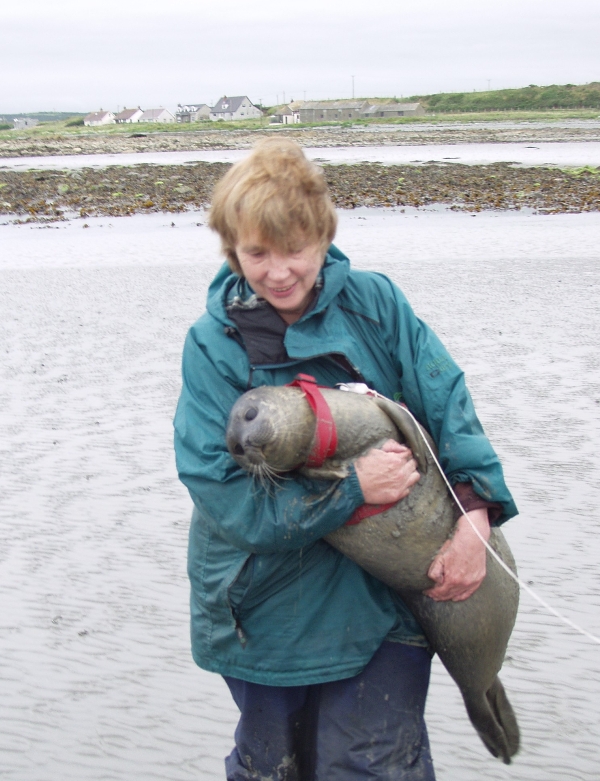 Sue Wilson with rehabilitated seal pup in Ireland Sue Wilson